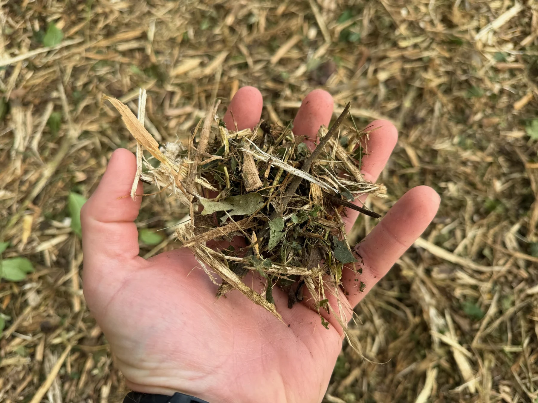 Fresh mulch produced during land clearing work