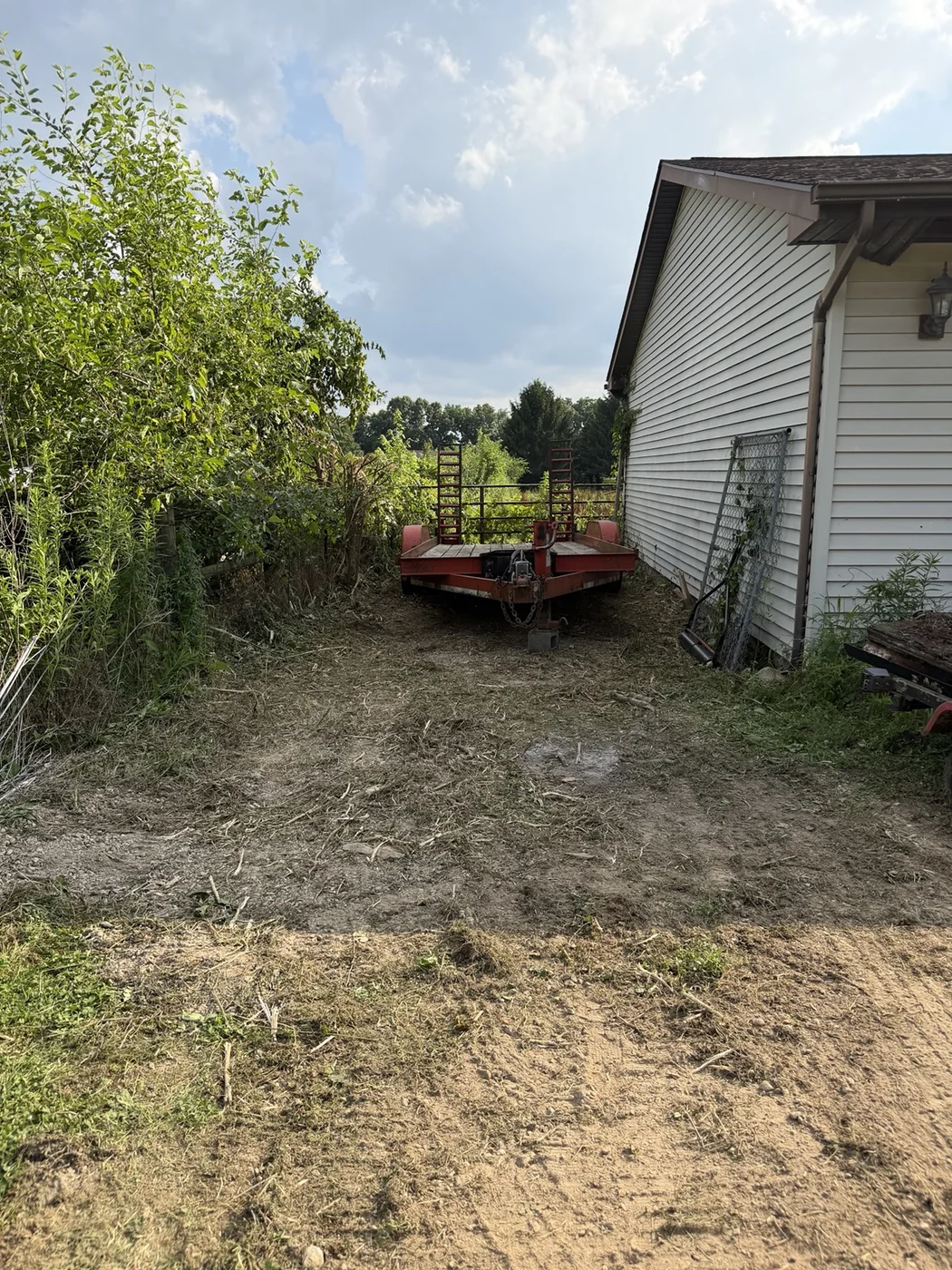 Overgrown brush beside a home before clearing
