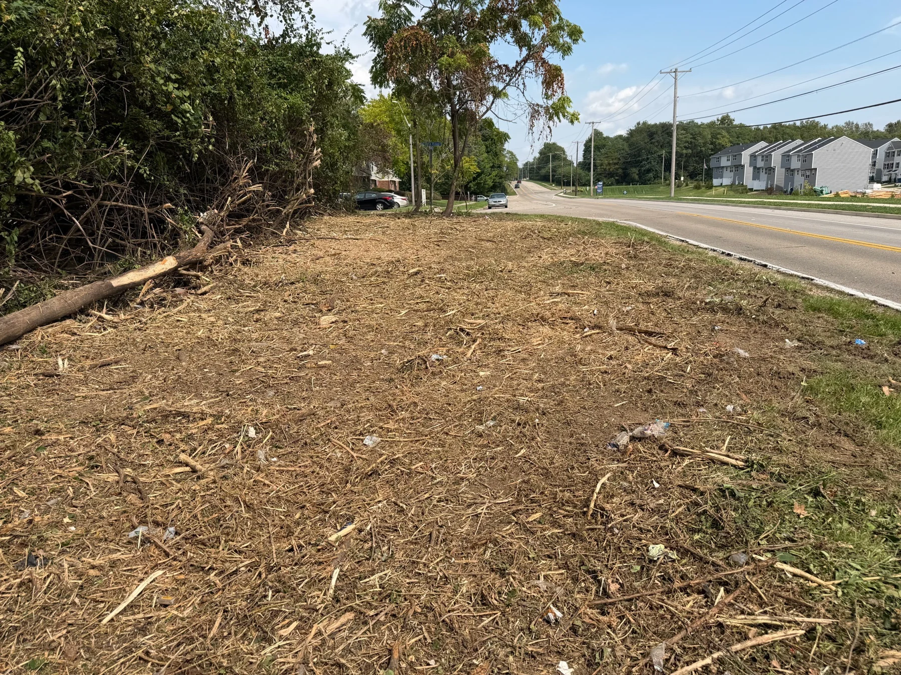 Roadside area after clearing